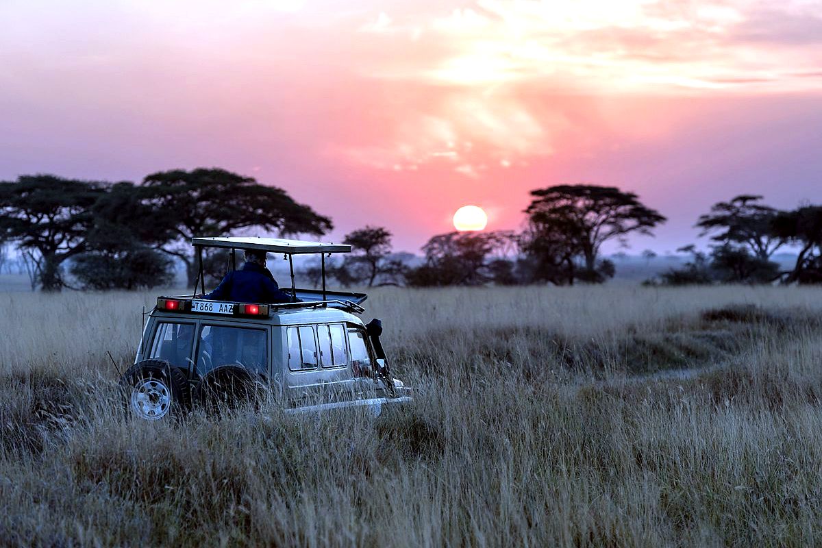 Safari landscape with wildlife under a wide African sky